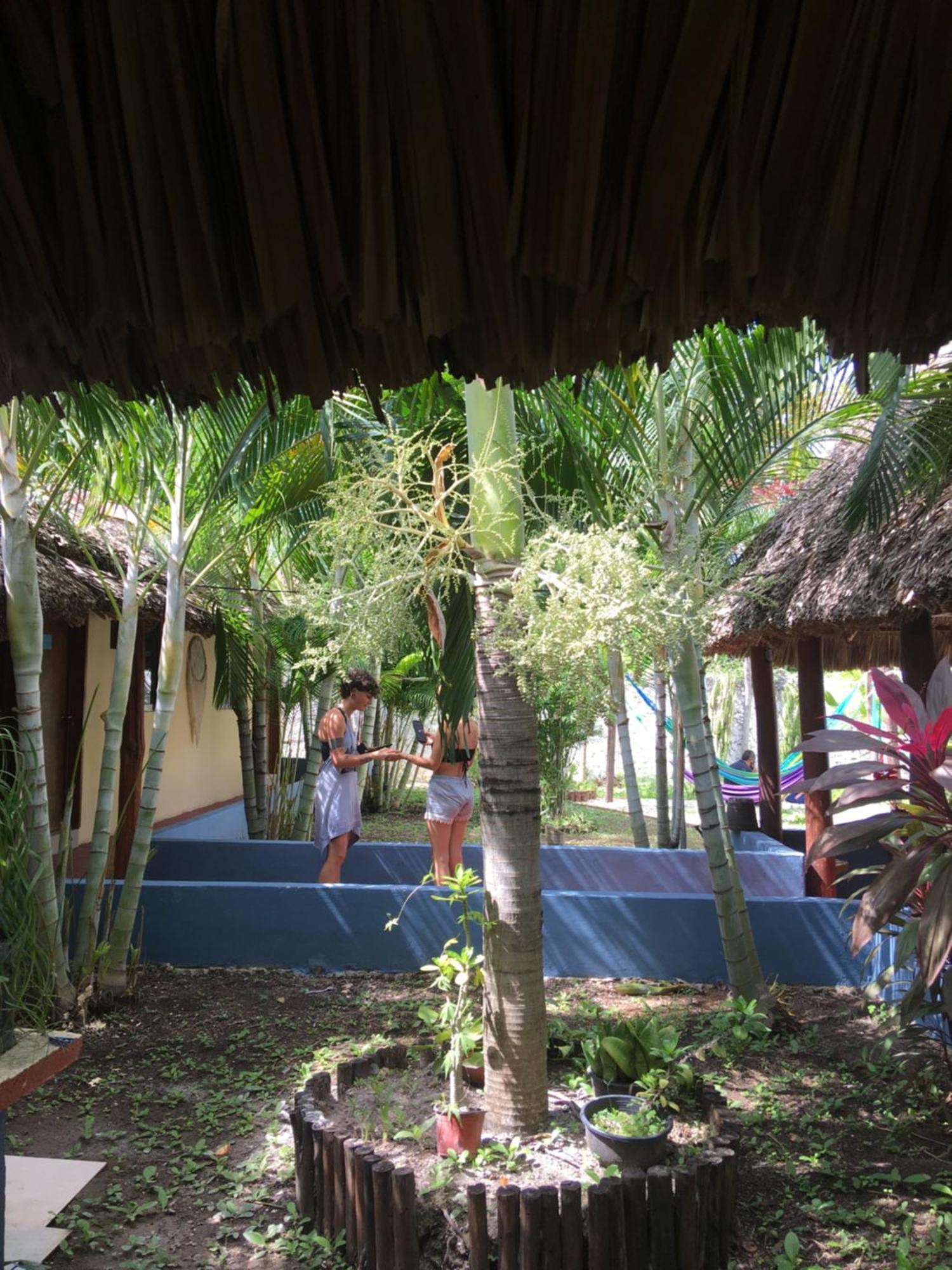 Hotel Casa Bokoba Bacalar Exterior foto